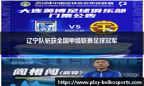 辽宁队斩获全国甲级联赛足球冠军