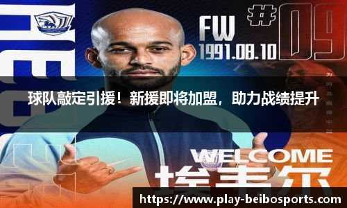 球队敲定引援!新援即将加盟,助力战绩提升
